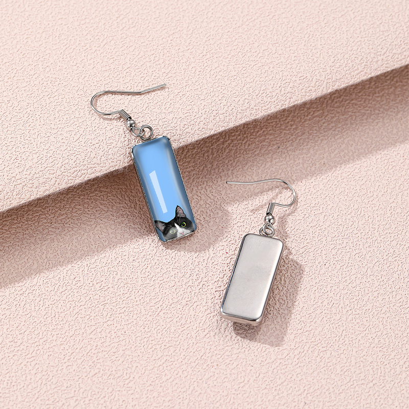 Cute Probe Cat Illustration Rectangular Hook Earrings